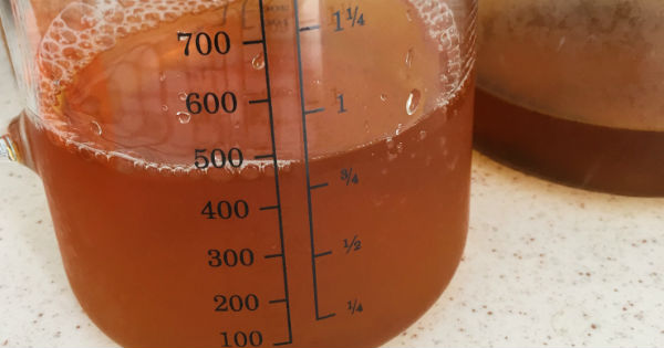 limonata-adim-1