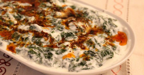 Pazı Yoğurtlaması