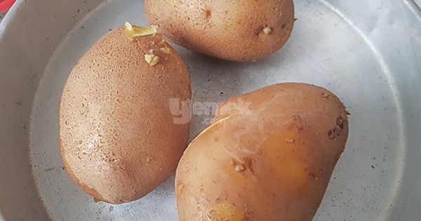 kahvaltilik-kasarli-patates-bombasi-adim-1