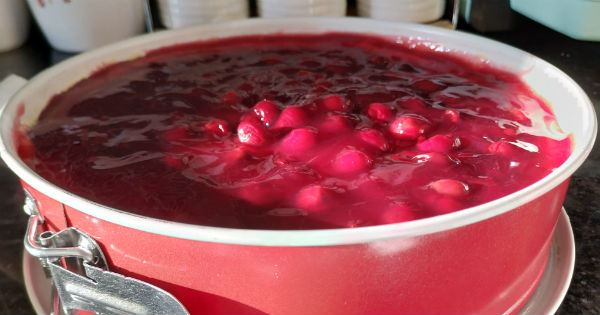 cheesecake5