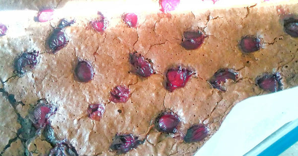 visneli-browni-2