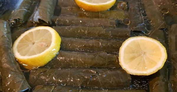 zeytinyagli-yaprak-sarma3