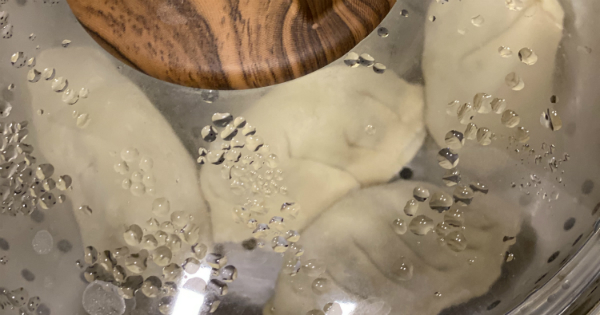 dumpling-son