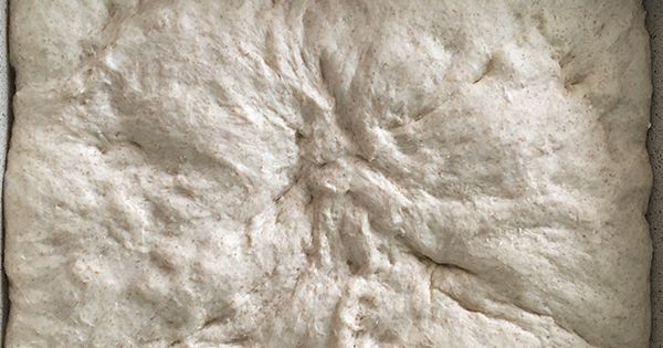 tam-bugdayli-focaccia-adim-2