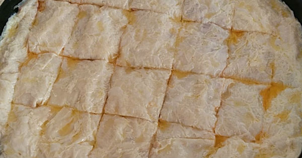 patlicanliborek5