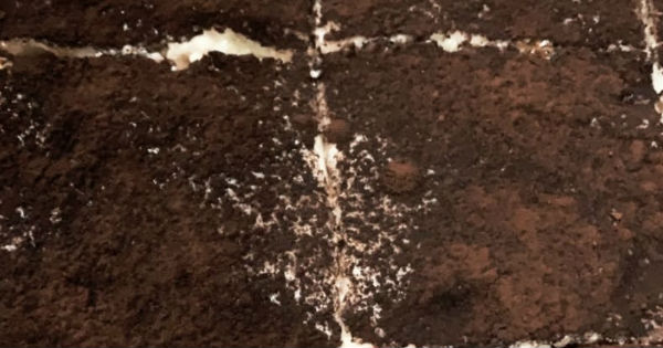 fit-tiramisu-adim