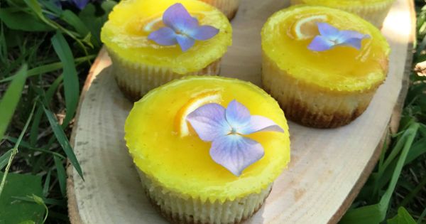 Porsiyonluk Limonlu Cheesecake
