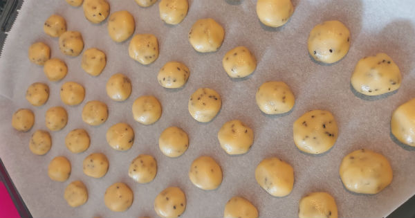 corek-ot2