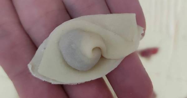 pelmeni-adim-4