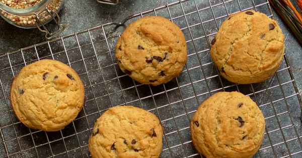 Chocolate Chip Cookie