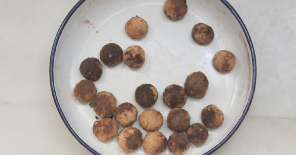 kati-yagsiz-tarcinli-misket-kurabiye3