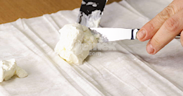 cevizzade-2