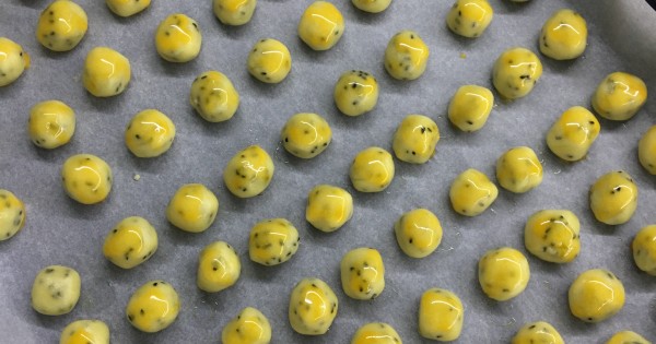 mini-corek-otlu4