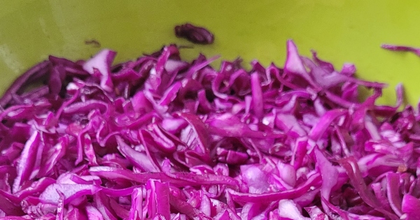yogurtlu-kirmizi-lahana-adim-2-figen