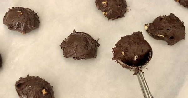 brownie-aysegul3