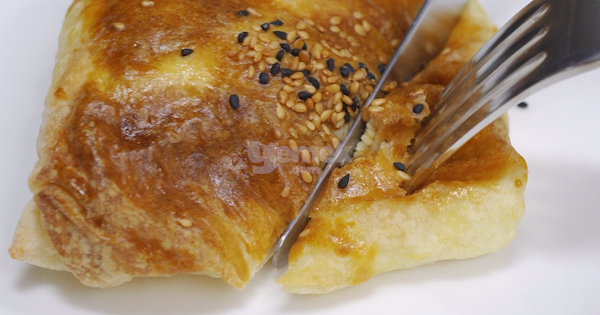 tavuklu-borek-10