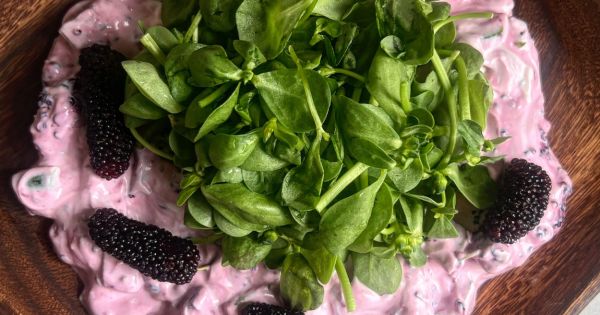 Yoğurtlu Karadutlu Semizotu Salatası