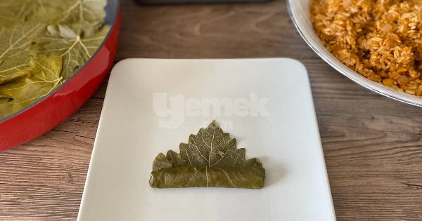 buzluk-icin-yaprak-sarma5