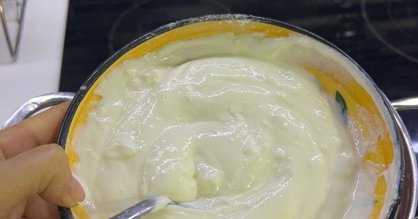 yogurt-t5