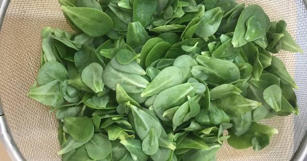 pirpirim-salata-1