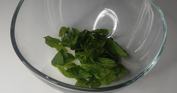 cool-lime-2