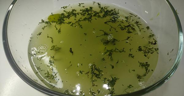 cool-lime-4