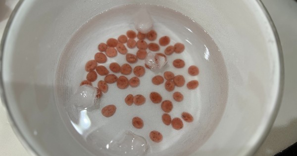 bubble-tea-7