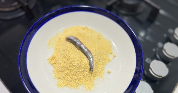 firinda-hamsi-2