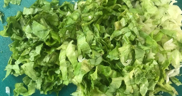 marul-cacigi-1