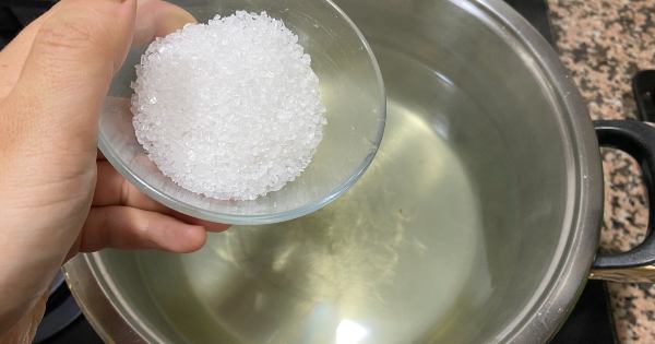 fasulye-tursusu-4