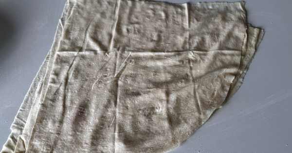 peynirli-gul-boregi-3