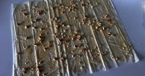 irmik-soslu-baklava-5