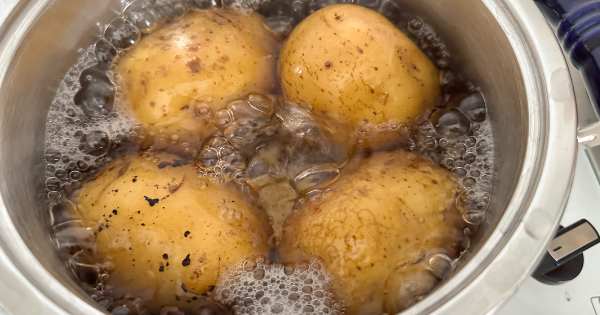 kremali-patates-puresi-1