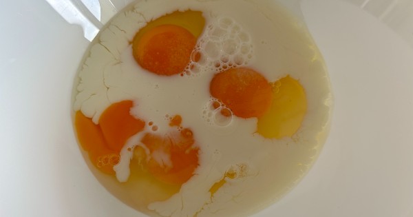 sutlu-omlet-1