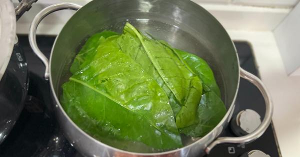 ispanak-soslu-makarna-1