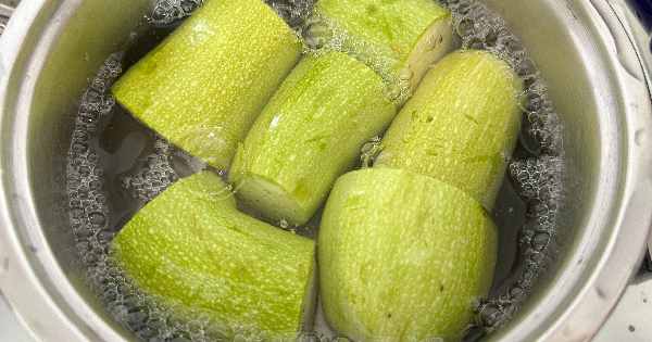 kabak-puresi-1