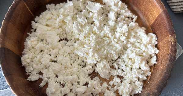 yogurtlu-peynir-mezesi-1