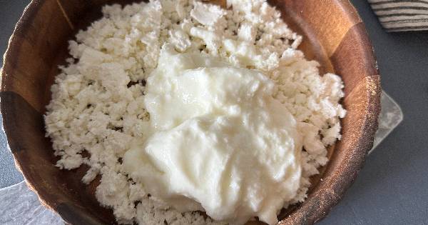 yogurtlu-peynir-mezesi-2