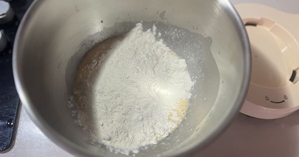 mayasiz-cabuk-pisi-2