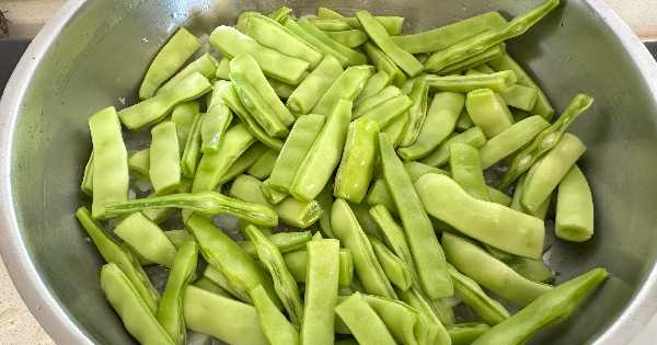 taze-fasulye-yemegi-2