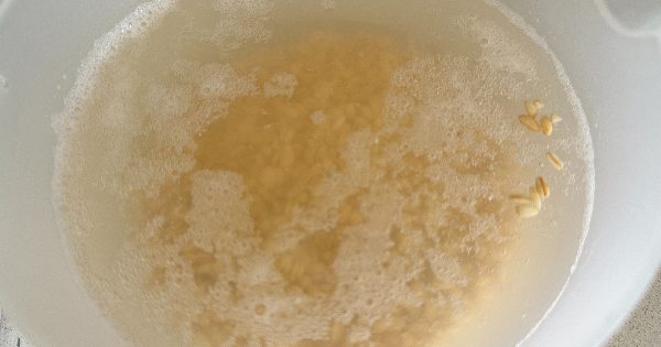 keten-tohumlu-ayran-asi-corbasi-1