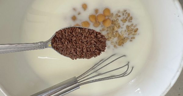 keten-tohumlu-ayran-asi-corbasi-5