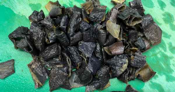 kuru-patlican-salatasi-4