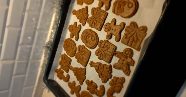 gingerbread-man-asama3