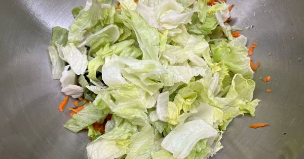 iceberg-salatasi-asama2