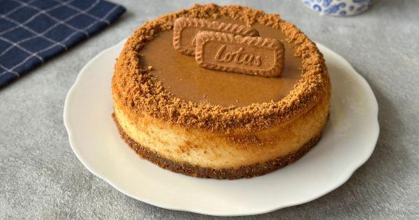 lotus-cheesecake-asama8