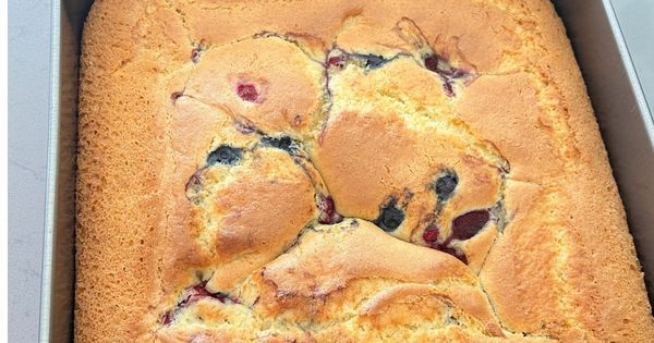 orman-meyveli-torta-noa-asama1