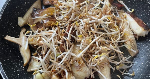 shiitake-mantari-sote-asama3