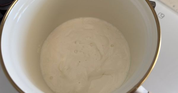 islak-pasta-asama8