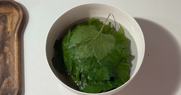 kiraz-yapragi-sarmasi-asama2